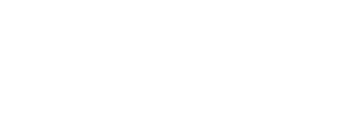 Antz Systems Logo